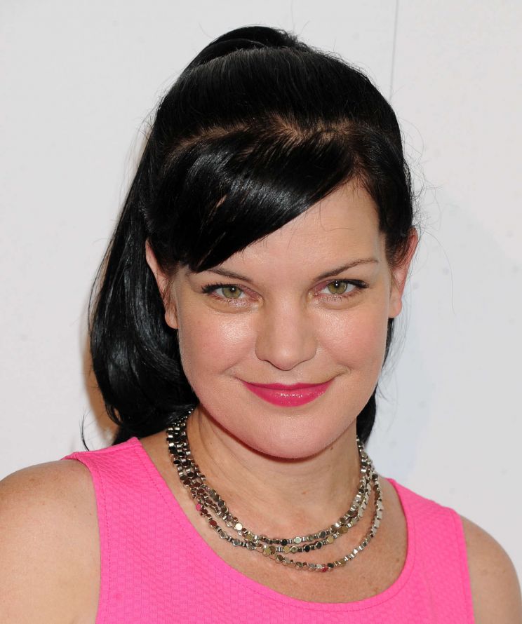 Pauley Perrette