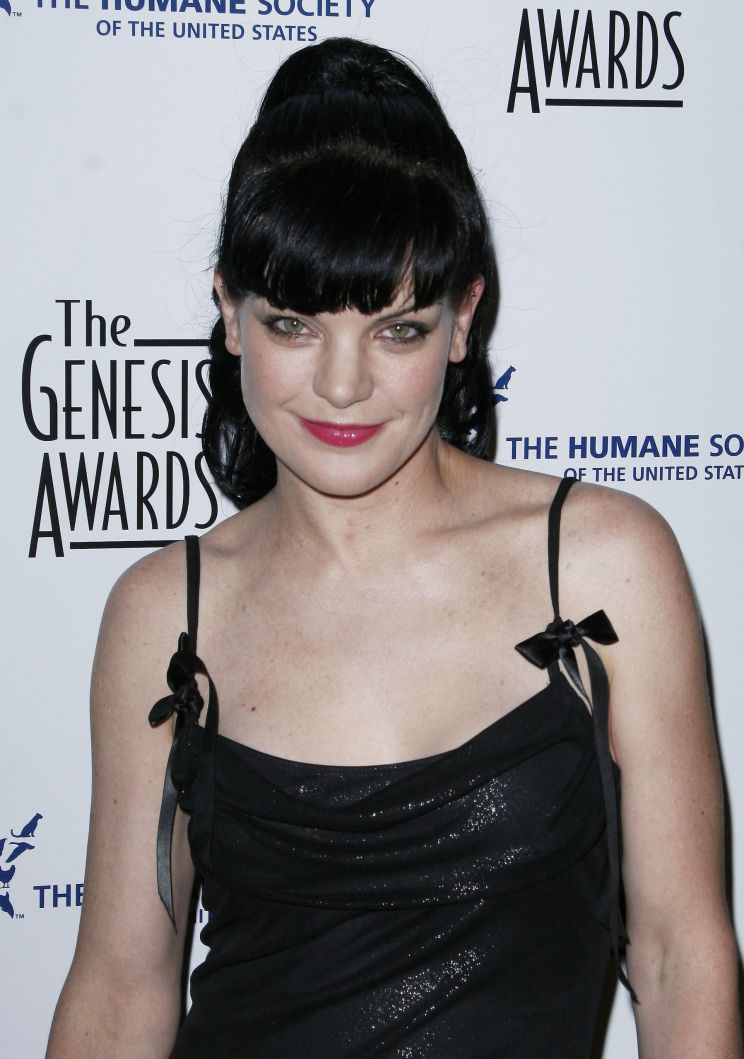 Pauley Perrette