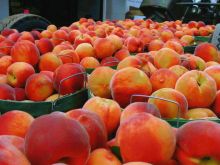 Peaches