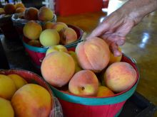Peaches