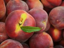 Peaches