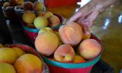 Peaches
