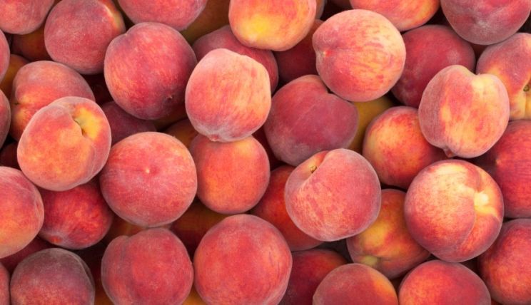 Peaches