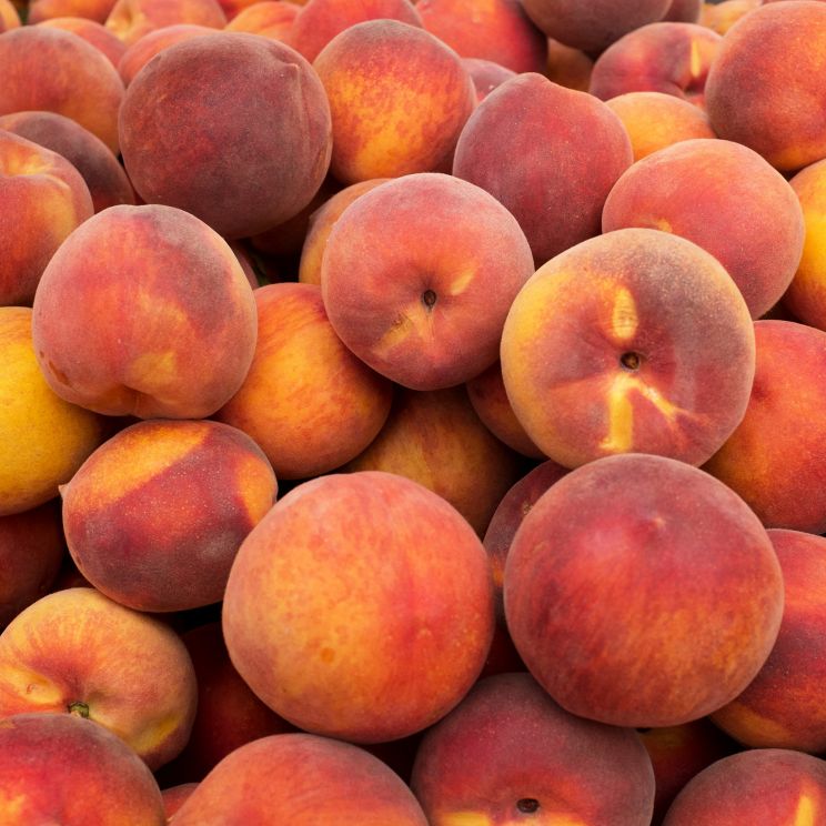 Peaches