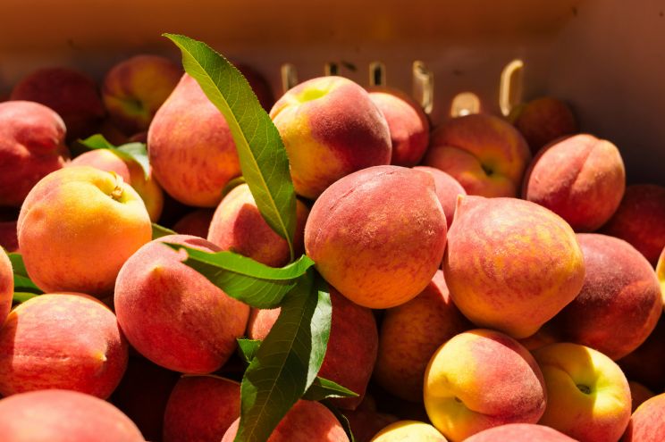 Peaches