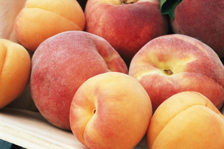 Peaches