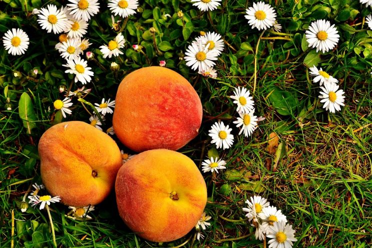 Peaches