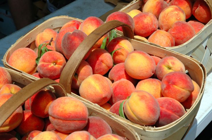 Peaches