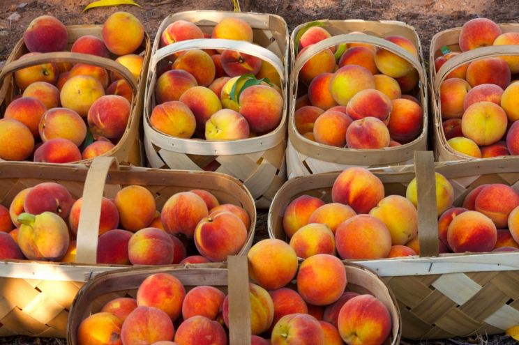 Peaches
