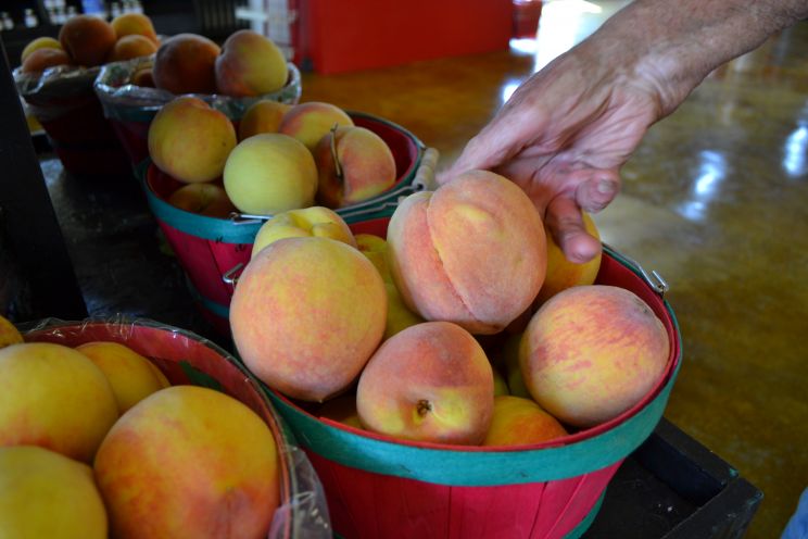Peaches