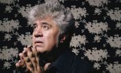 Pedro Almodóvar