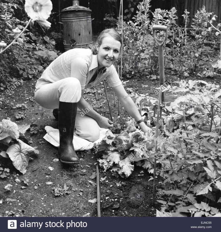 Penelope Keith