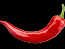 Pepper
