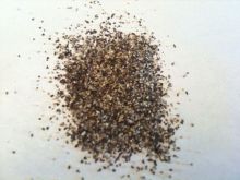 Pepper