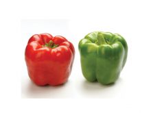 Pepper