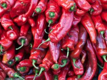 Pepper