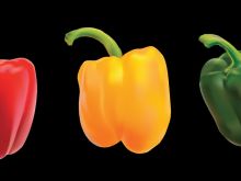 Pepper