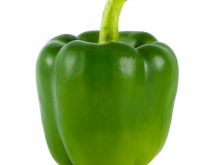 Pepper