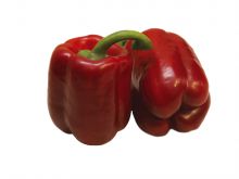 Pepper