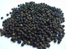 Pepper