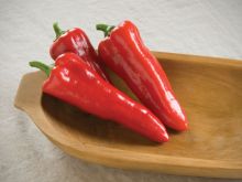 Pepper