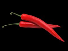 Pepper
