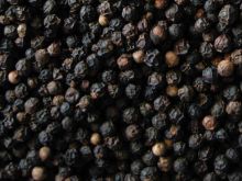 Pepper