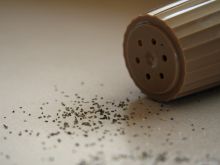 Pepper #3237113 picture (Landscape Medium)