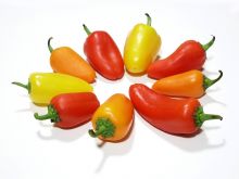 Pepper