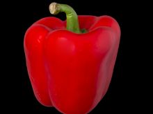 Pepper