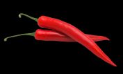 Pepper