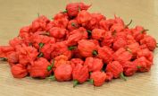 Pepper