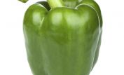 Pepper