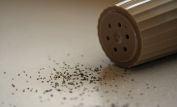 Pepper