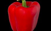 Pepper