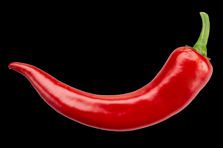 Pepper