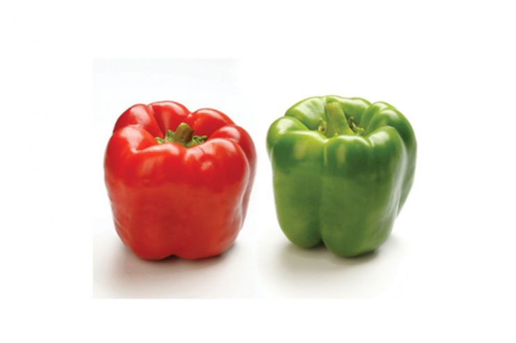 Pepper