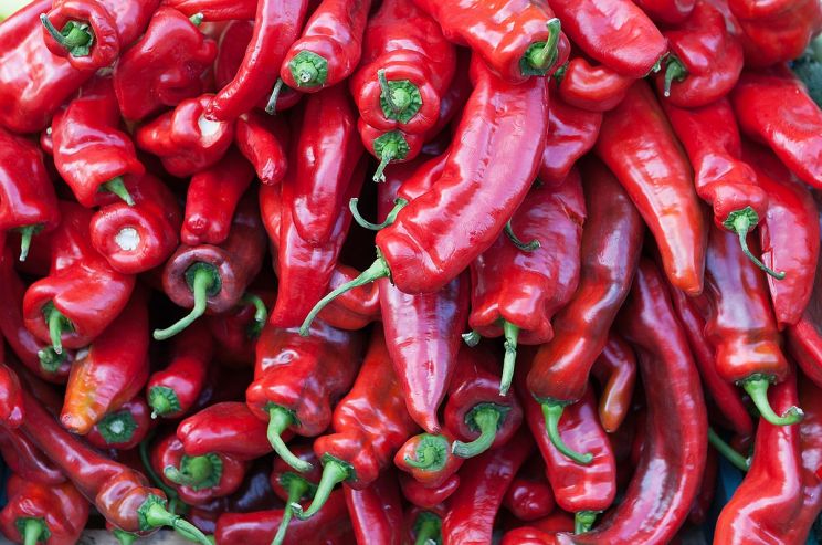 Pepper