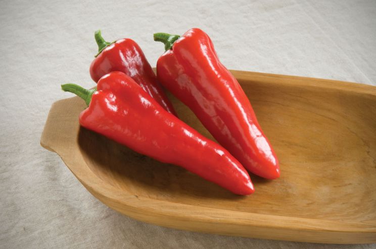 Pepper