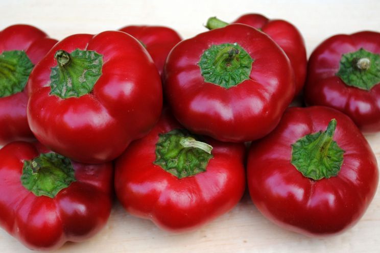 Pepper