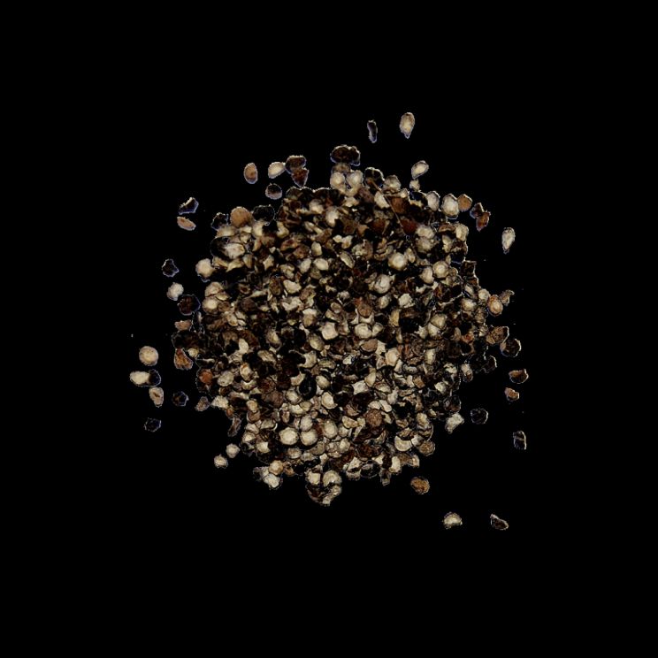 Pepper