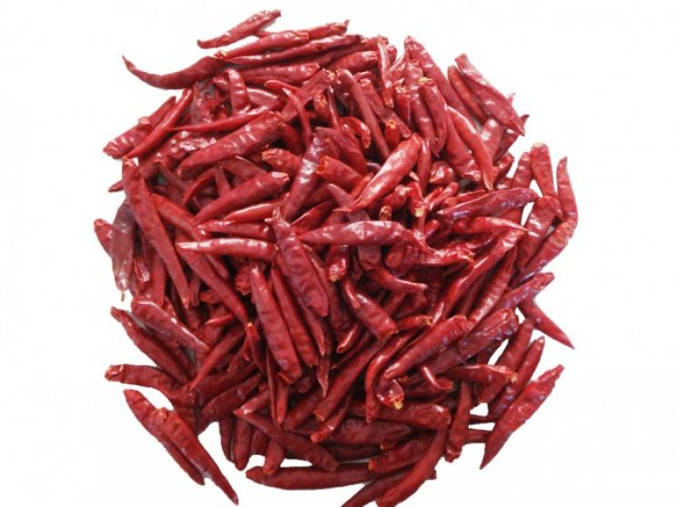 Pepper
