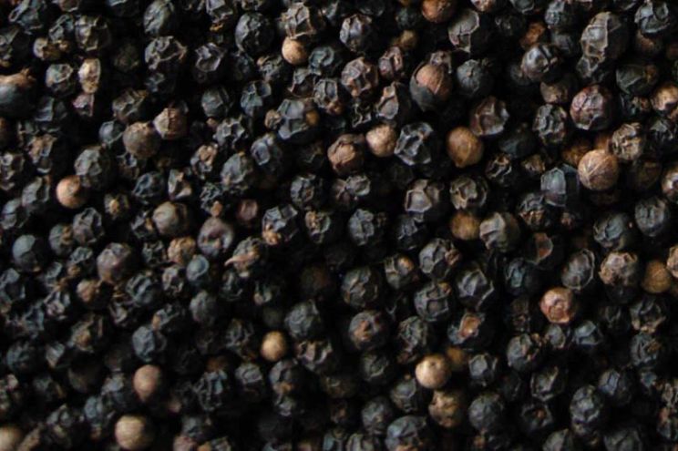 Pepper