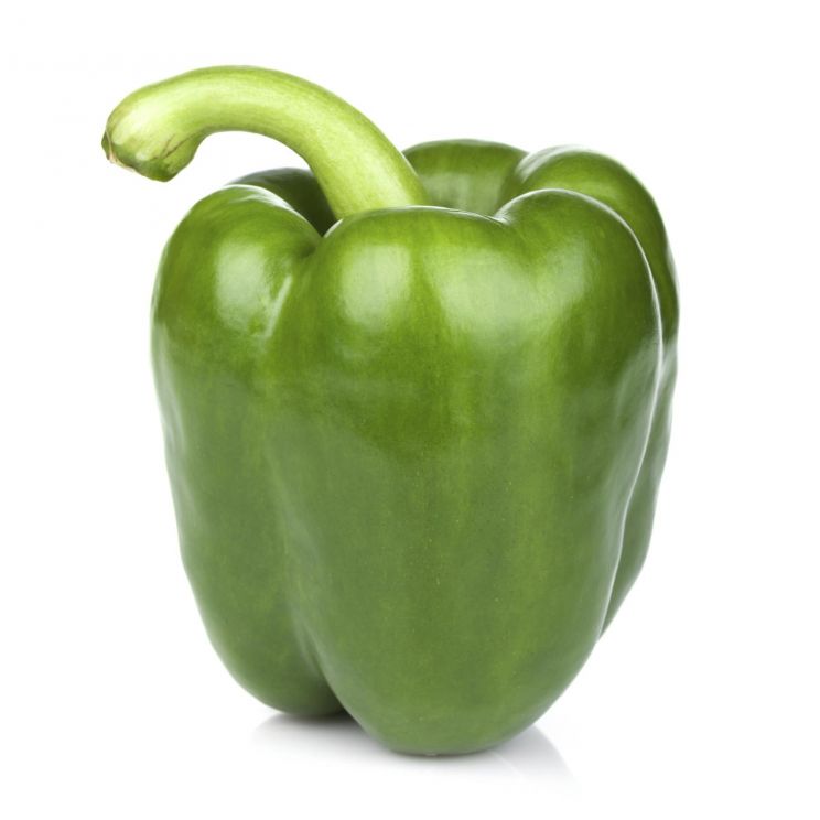 Pepper