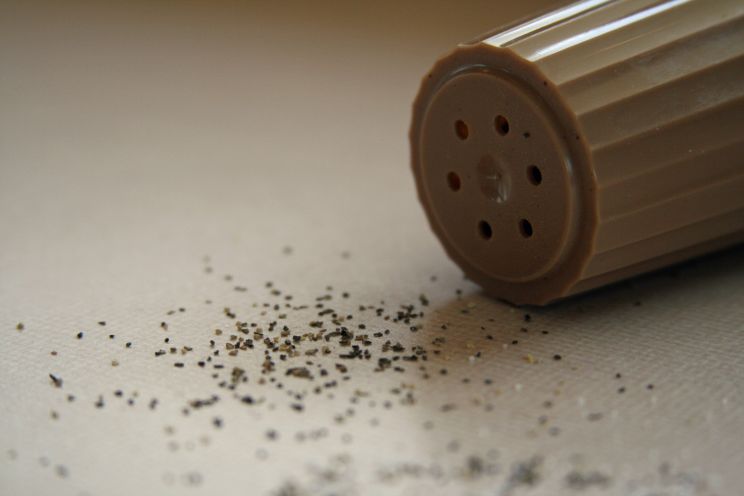 Pepper