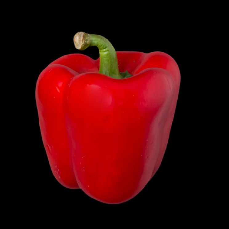 Pepper