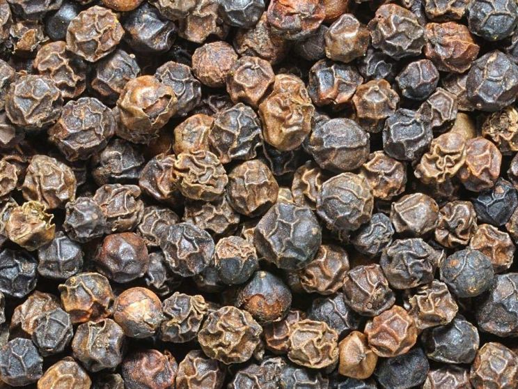 Pepper