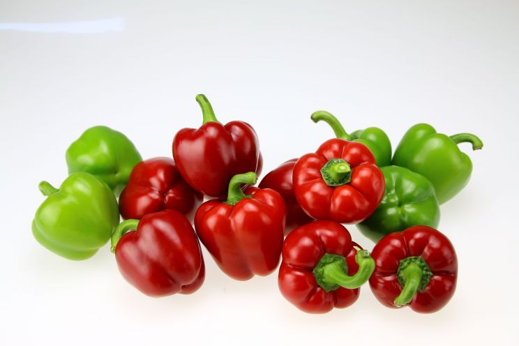 Pepper