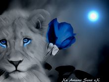 Persia Blue