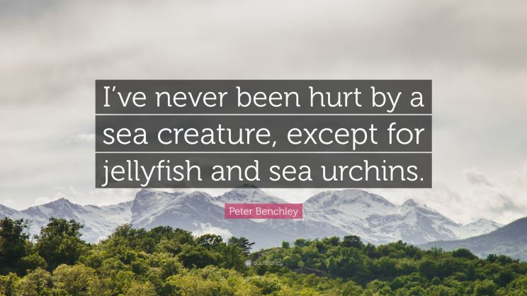 Peter Benchley